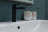 Смеситель для раковины Aquanet Passion AF300-10B