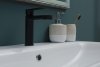 Смеситель для раковины Aquanet Passion AF300-10B